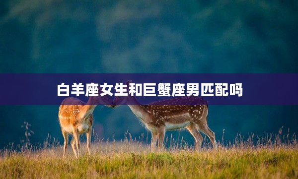 白羊座女生和巨蟹座男匹配嗎