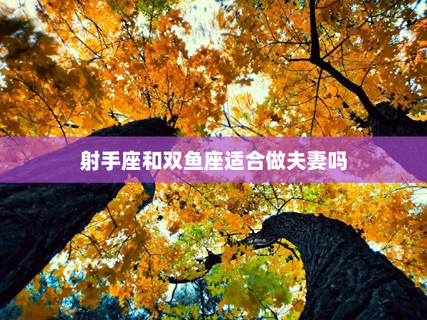 射手座和雙魚座適合做夫妻嗎