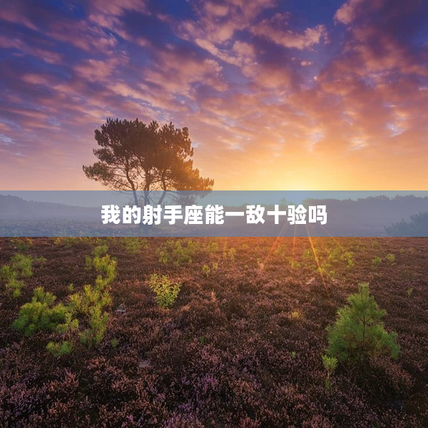 我的射手座能一敵十驗(yàn)嗎
