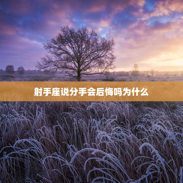 射手座說(shuō)分手會(huì)后悔嗎為什么