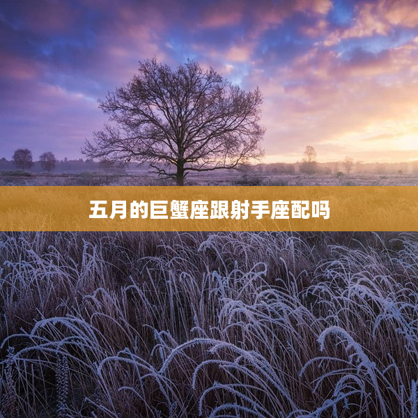 五月的巨蟹座跟射手座配嗎