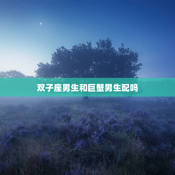 雙子座男生和巨蟹男生配嗎