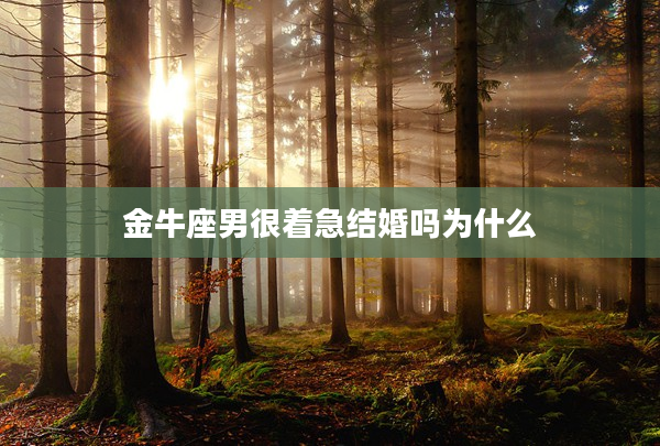金牛座男很著急結(jié)婚嗎為什么