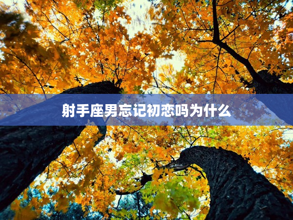 射手座男忘記初戀嗎為什么