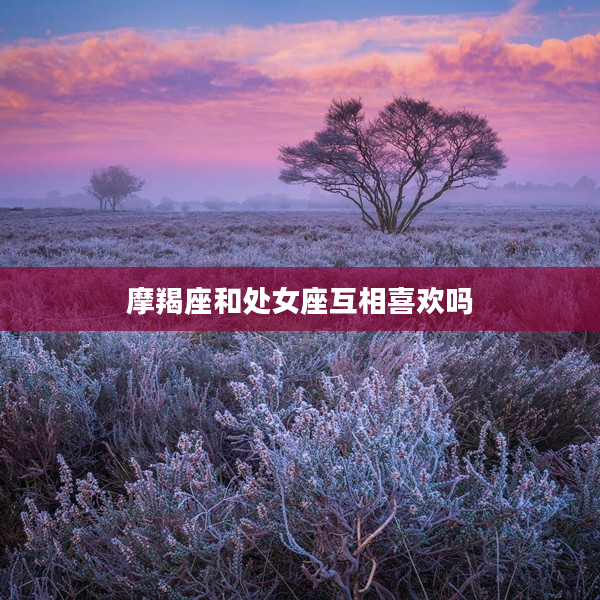 摩羯座和處女座互相喜歡嗎