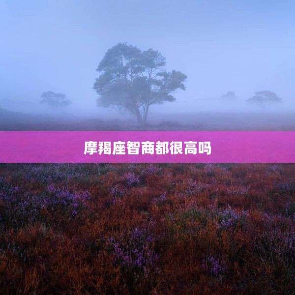 摩羯座智商都很高嗎