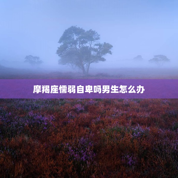 摩羯座懦弱自卑嗎男生怎么辦