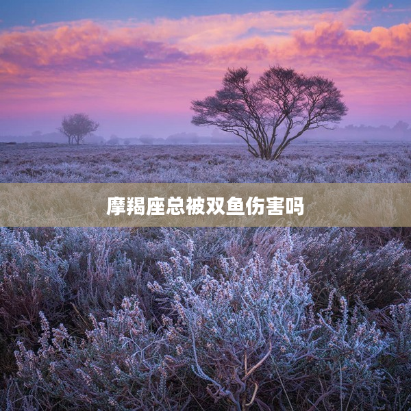 摩羯座總被雙魚傷害嗎