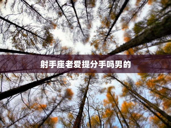 射手座老愛提分手嗎男的