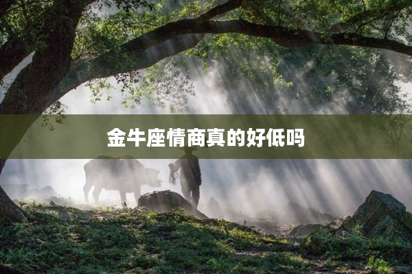 金牛座情商真的好低嗎