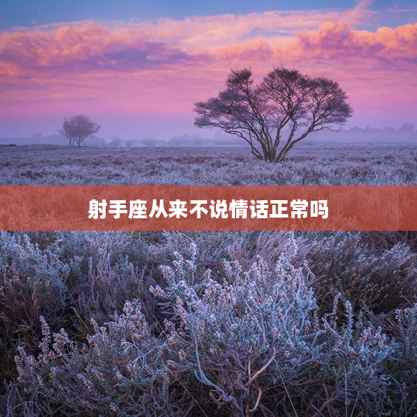 射手座從來不說情話正常嗎