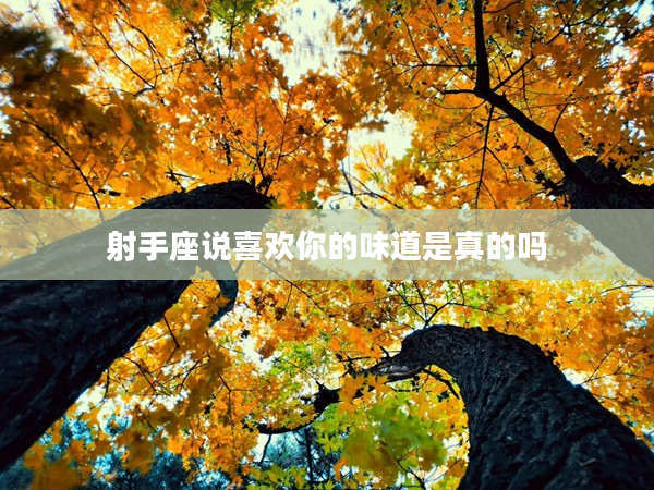 射手座說喜歡你的味道是真的嗎