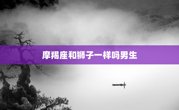 摩羯座和獅子一樣嗎男生