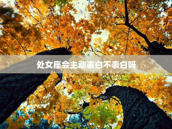 處女座會(huì)主動(dòng)表白不表白嗎