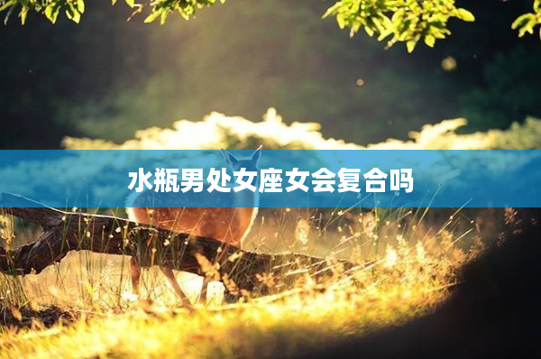 水瓶男處女座女會復(fù)合嗎