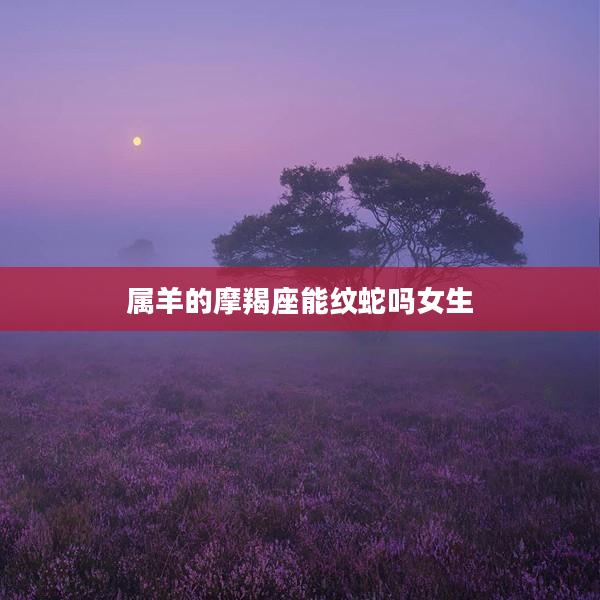 屬羊的摩羯座能紋蛇嗎女生