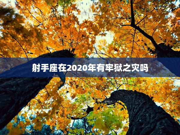 射手座在2020年有牢獄之災嗎