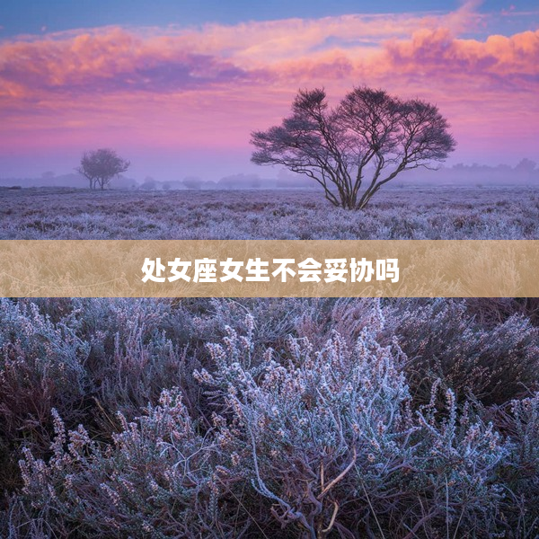 處女座女生不會妥協嗎