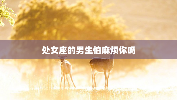 處女座的男生怕麻煩你嗎