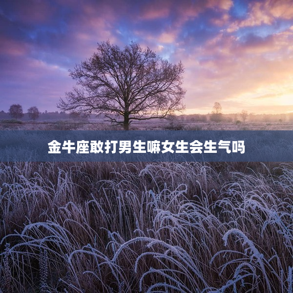金牛座敢打男生嘛女生會生氣嗎