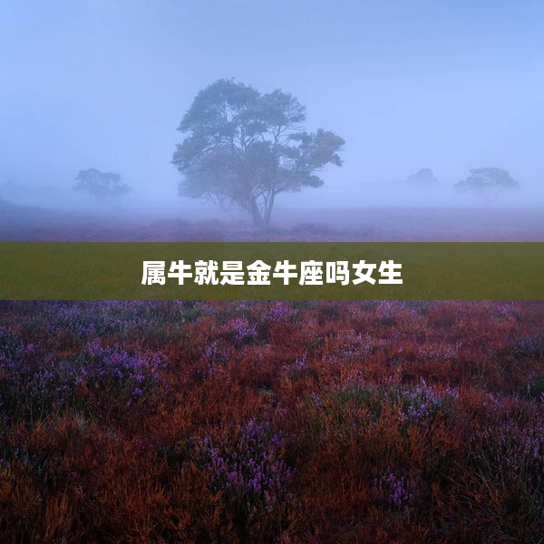 屬牛就是金牛座嗎女生