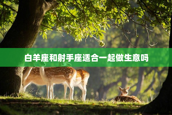 白羊座和射手座適合一起做生意嗎