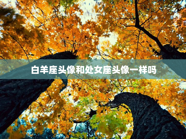 白羊座頭像和處女座頭像一樣嗎