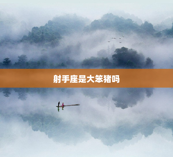 射手座是大笨豬嗎