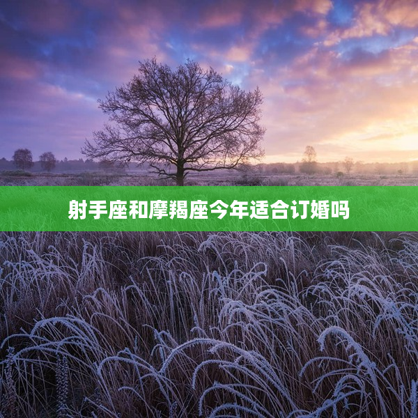 射手座和摩羯座今年適合訂婚嗎
