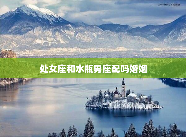 處女座和水瓶男座配嗎婚姻