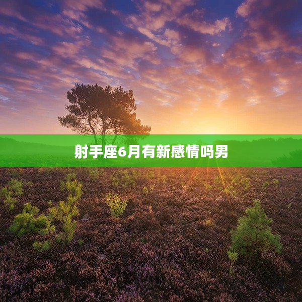 射手座6月有新感情嗎男