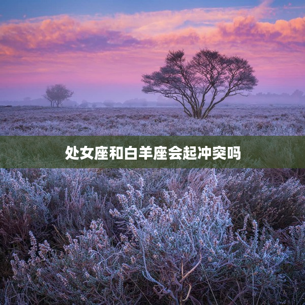 處女座和白羊座會(huì)起沖突嗎