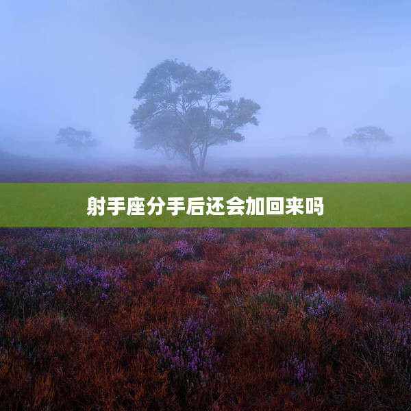 射手座分手后還會加回來嗎