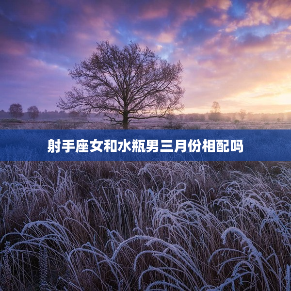 射手座女和水瓶男三月份相配嗎