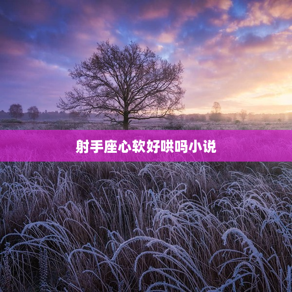 射手座心軟好哄嗎小說(shuō)