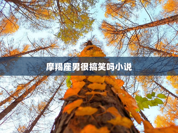 摩羯座男很搞笑嗎小說