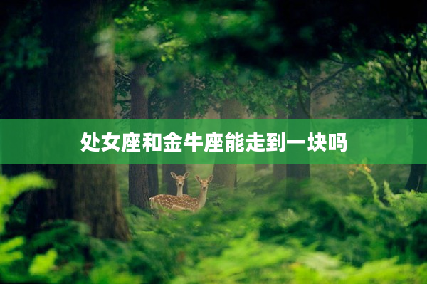 處女座和金牛座能走到一塊嗎
