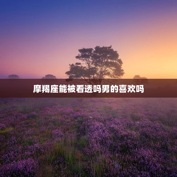 摩羯座能被看透嗎男的喜歡嗎