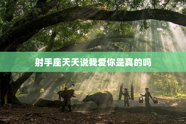 射手座天天說我愛你是真的嗎