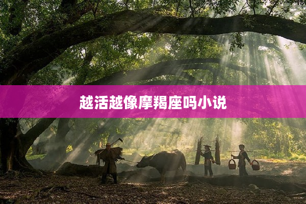 越活越像摩羯座嗎小說