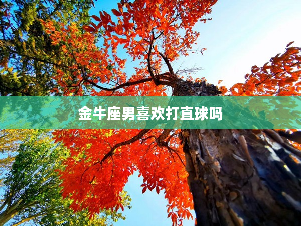 金牛座男喜歡打直球嗎