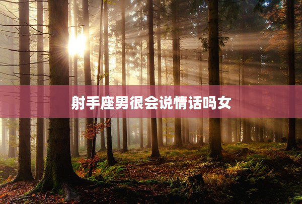 射手座男很會說情話嗎女