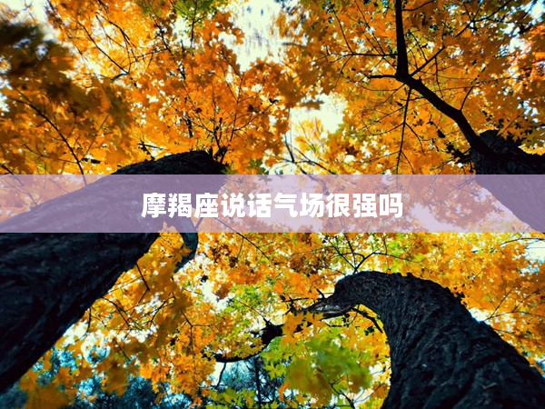 摩羯座說話氣場很強嗎