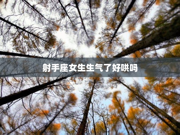 射手座女生生氣了好哄嗎