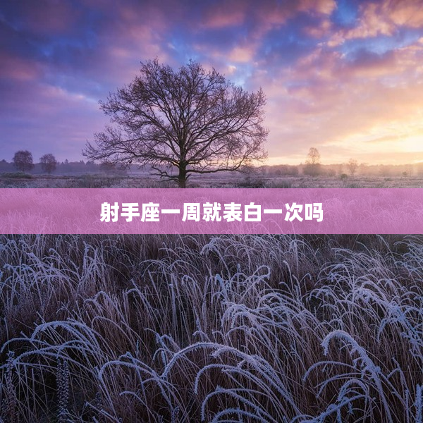 射手座一周就表白一次嗎