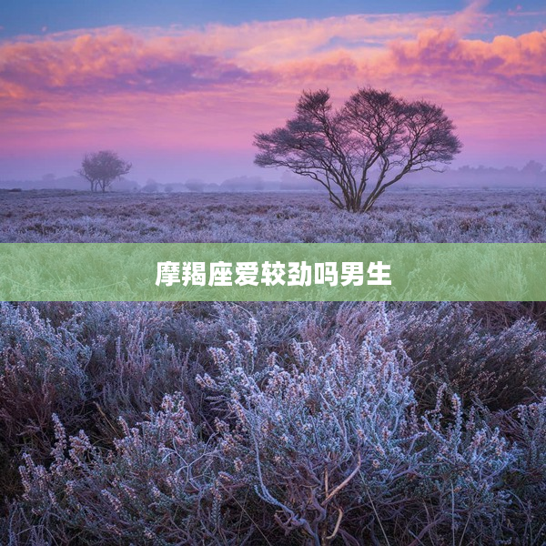 摩羯座愛較勁嗎男生