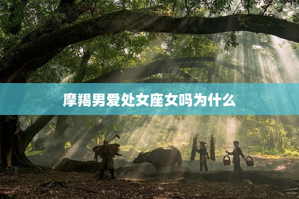 摩羯男愛處女座女嗎為什么