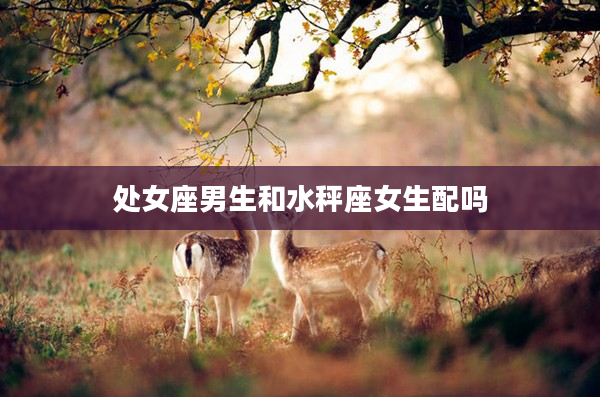 處女座男生和水秤座女生配嗎