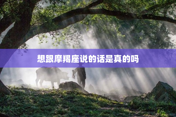 想跟摩羯座說的話是真的嗎