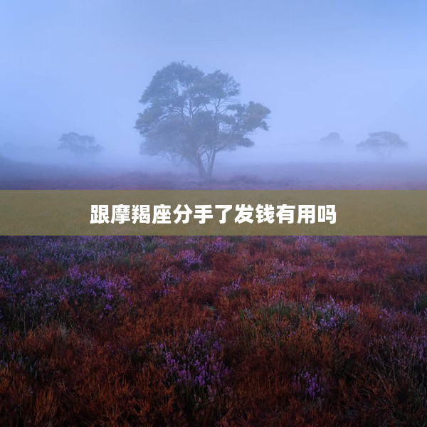 跟摩羯座分手了發錢有用嗎